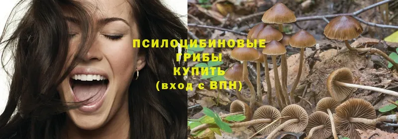 Галлюциногенные грибы Psilocybe  как найти наркотики  Воркута 